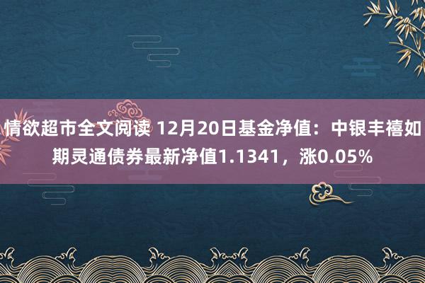 情欲超市全文阅读 12月20日基金净值：中银丰禧如期灵通债券最新净值1.1341，涨0.05%
