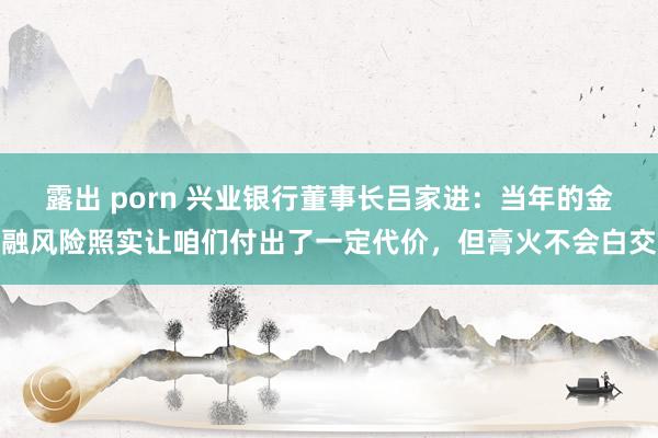 露出 porn 兴业银行董事长吕家进：当年的金融风险照实让咱们付出了一定代价，但膏火不会白交