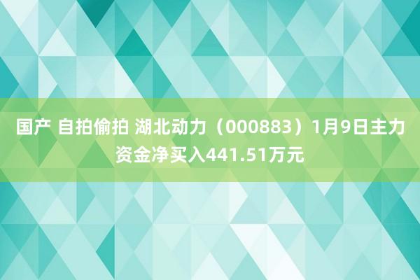 国产 自拍偷拍 湖北动力（000883）1月9日主力资金净买入441.51万元