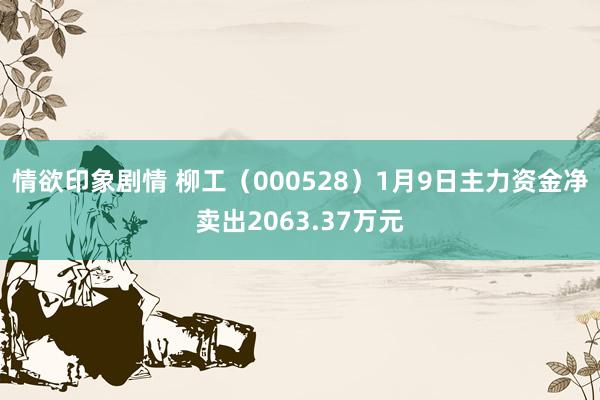情欲印象剧情 柳工（000528）1月9日主力资金净卖出2063.37万元