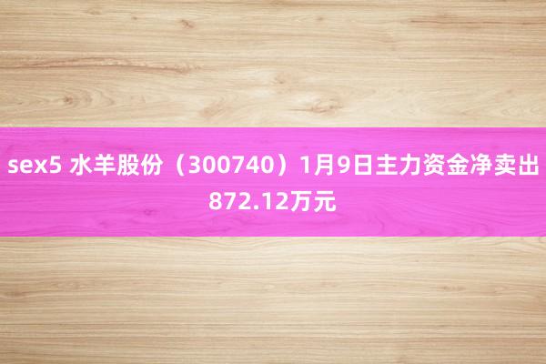 sex5 水羊股份（300740）1月9日主力资金净卖出872.12万元
