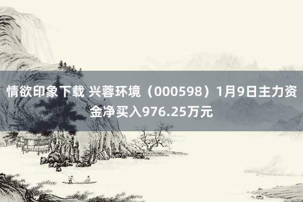情欲印象下载 兴蓉环境（000598）1月9日主力资金净买入976.25万元