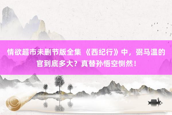 情欲超市未删节版全集 《西纪行》中，弼马温的官到底多大？真替孙悟空恻然！