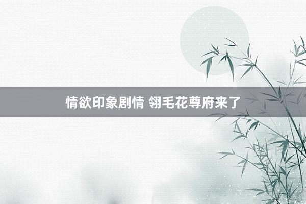 情欲印象剧情 翎毛花尊府来了