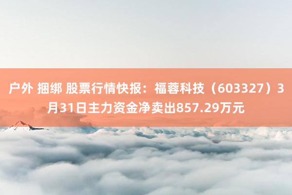 户外 捆绑 股票行情快报：福蓉科技（603327）3月31日主力资金净卖出857.29万元