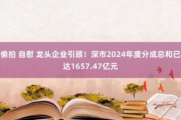 偷拍 自慰 龙头企业引颈！深市2024年度分成总和已达1657.47亿元