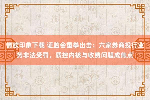 情欲印象下载 证监会重拳出击：六家券商投行业务非法受罚，质控内核与收费问题成焦点