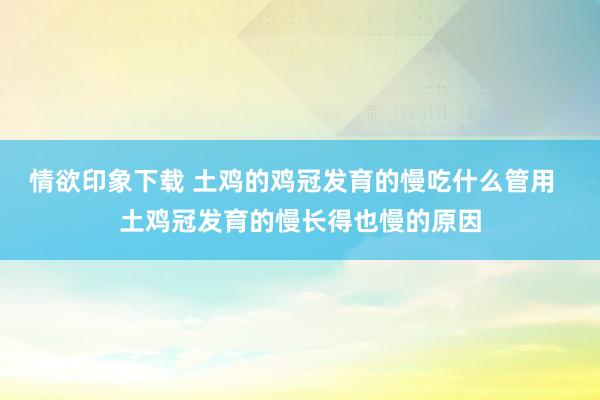 情欲印象下载 土鸡的鸡冠发育的慢吃什么管用  土鸡冠发育的慢长得也慢的原因