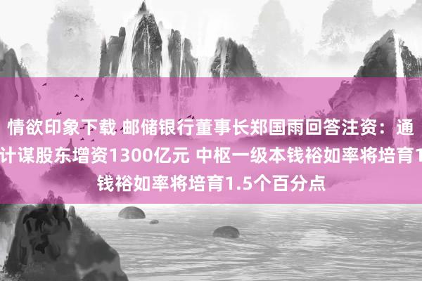 情欲印象下载 邮储银行董事长郑国雨回答注资：通过财政部和计谋股东增资1300亿元 中枢一级本钱裕如率将培育1.5个百分点
