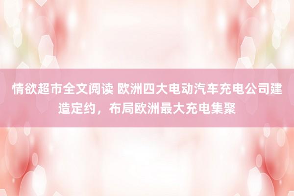 情欲超市全文阅读 欧洲四大电动汽车充电公司建造定约，布局欧洲最大充电集聚