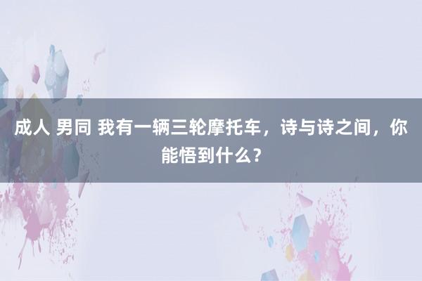 成人 男同 我有一辆三轮摩托车，诗与诗之间，你能悟到什么？