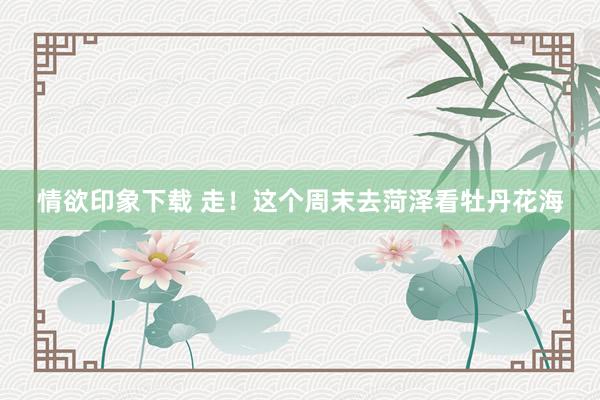 情欲印象下载 走！这个周末去菏泽看牡丹花海