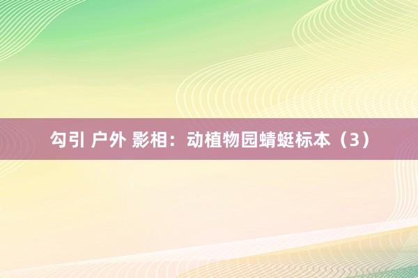 勾引 户外 影相：动植物园蜻蜓标本（3）