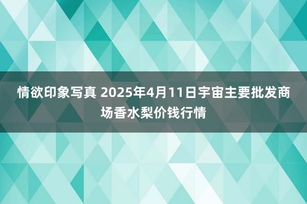 情欲印象写真 2025年4月11日宇宙主要批发商场香水梨价钱行情