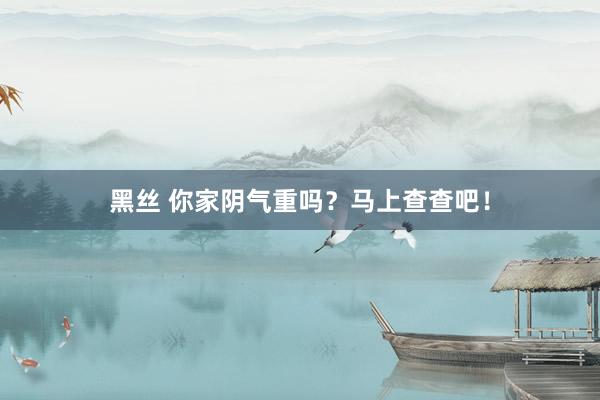 黑丝 你家阴气重吗？马上查查吧！