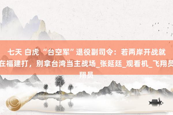 七天 白虎 “台空军”退役副司令：若两岸开战就在福建打，别拿台湾当主战场_张延廷_观看机_飞翔员