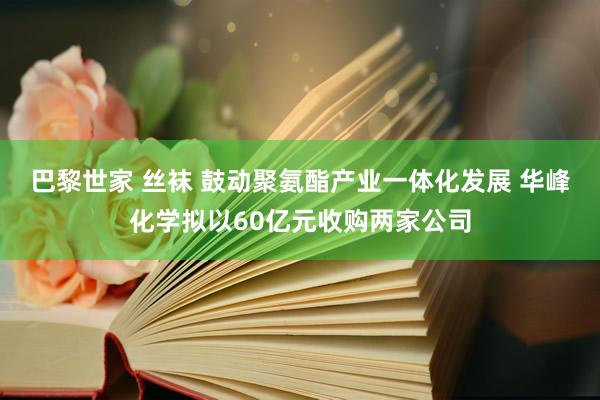 巴黎世家 丝袜 鼓动聚氨酯产业一体化发展 华峰化学拟以60亿元收购两家公司