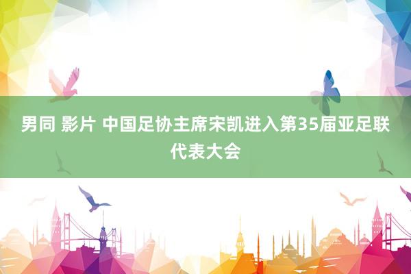 男同 影片 中国足协主席宋凯进入第35届亚足联代表大会