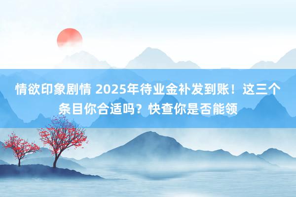 情欲印象剧情 2025年待业金补发到账！这三个条目你合适吗？快查你是否能领