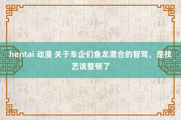hentai 动漫 关于车企们鱼龙混合的智驾，是技艺该整顿了