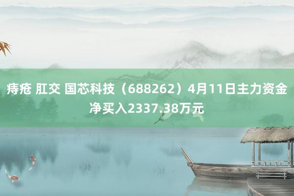 痔疮 肛交 国芯科技（688262）4月11日主力资金净买入2337.38万元