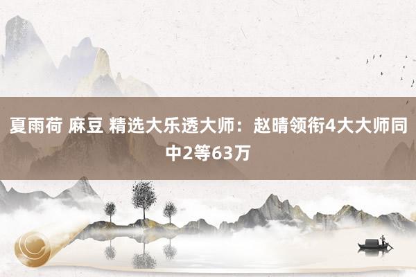 夏雨荷 麻豆 精选大乐透大师：赵晴领衔4大大师同中2等63万