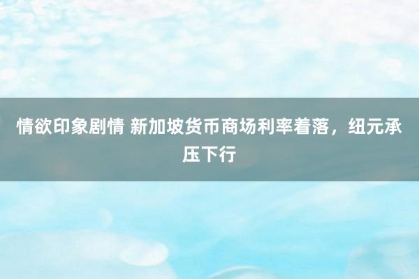 情欲印象剧情 新加坡货币商场利率着落，纽元承压下行