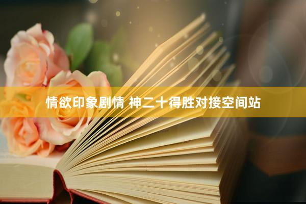 情欲印象剧情 神二十得胜对接空间站