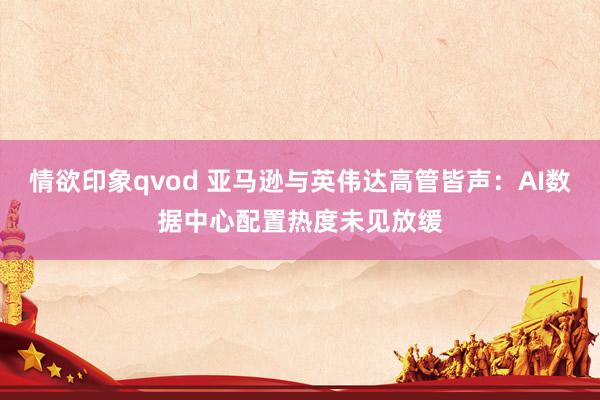情欲印象qvod 亚马逊与英伟达高管皆声：AI数据中心配置热度未见放缓