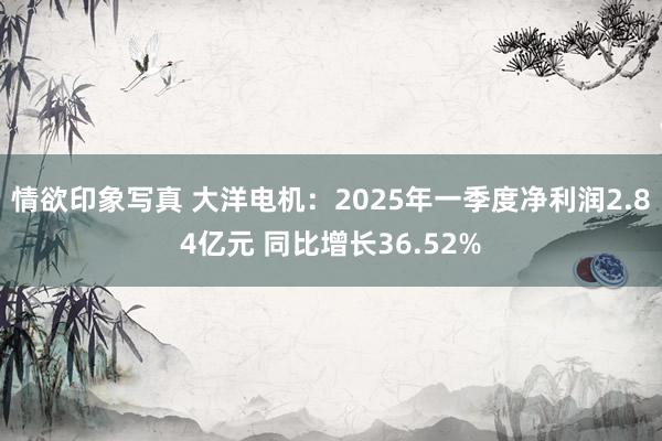 情欲印象写真 大洋电机：2025年一季度净利润2.84亿元 同比增长36.52%