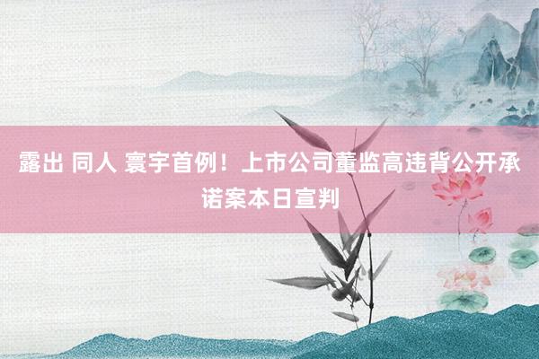 露出 同人 寰宇首例！上市公司董监高违背公开承诺案本日宣判