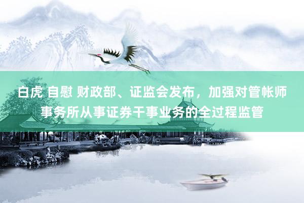 白虎 自慰 财政部、证监会发布，加强对管帐师事务所从事证券干事业务的全过程监管
